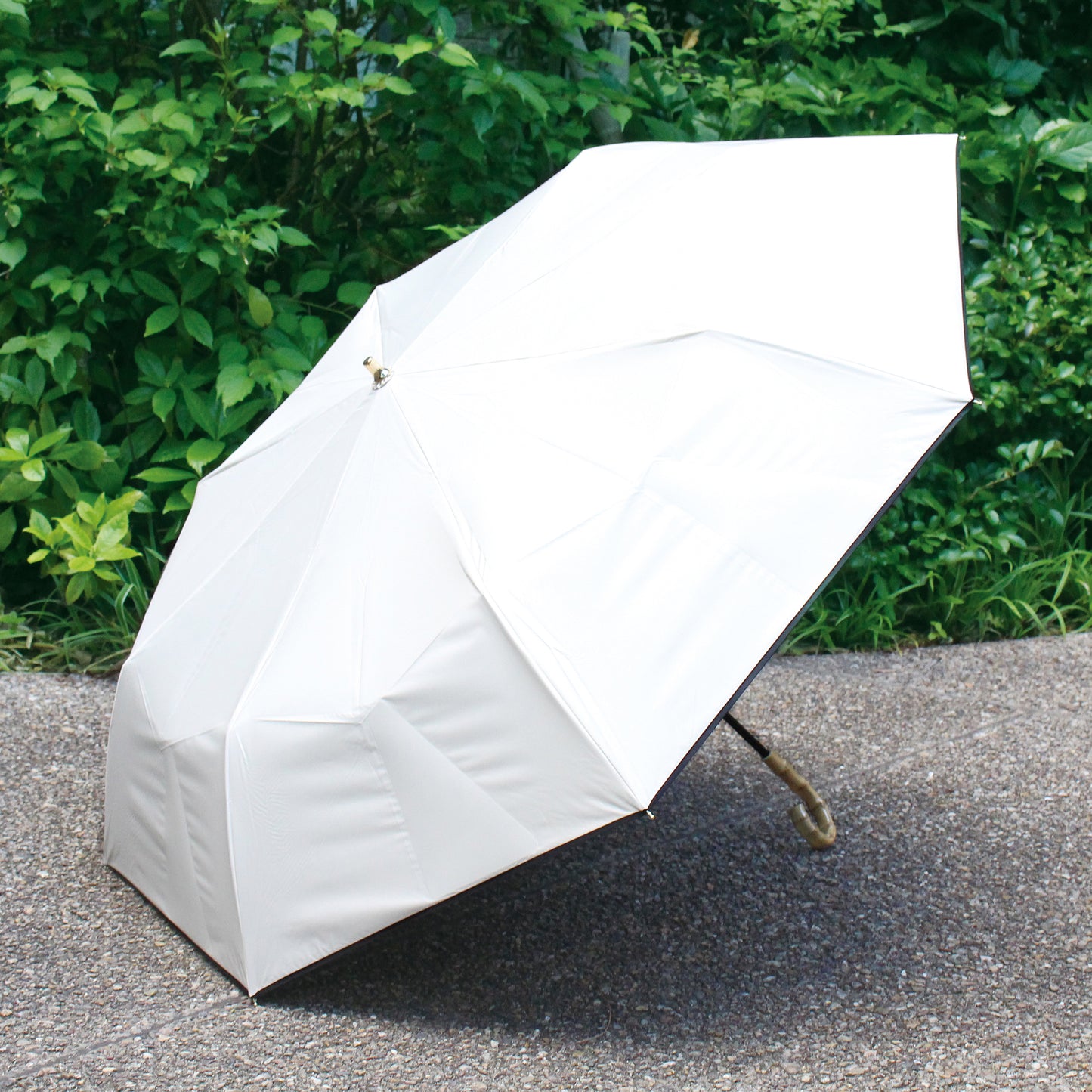 【予約商品】完全遮光 晴雨兼用日傘